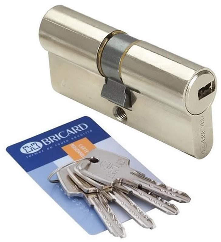 Cylindre de porte ASTRAL pour sécuriser la maison familiale au quotidien