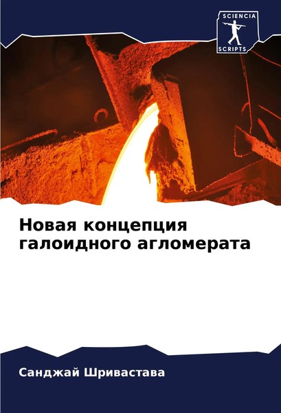 Nowaq Koncepciq Galoidnogo Aglomerata Sandzhaj Shriwastawa Taschenbuch Russisch-image