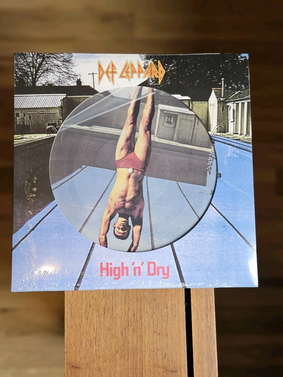 Def Leppard Picture Disc Vinyl Records for sale | eBay