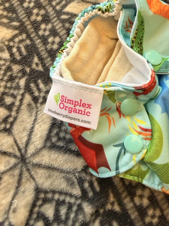 Blueberry Simplex Organic AIO Foto 4 de 4