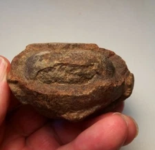 Prehistoric Paleo-American stone art fossilized egg sculpture.