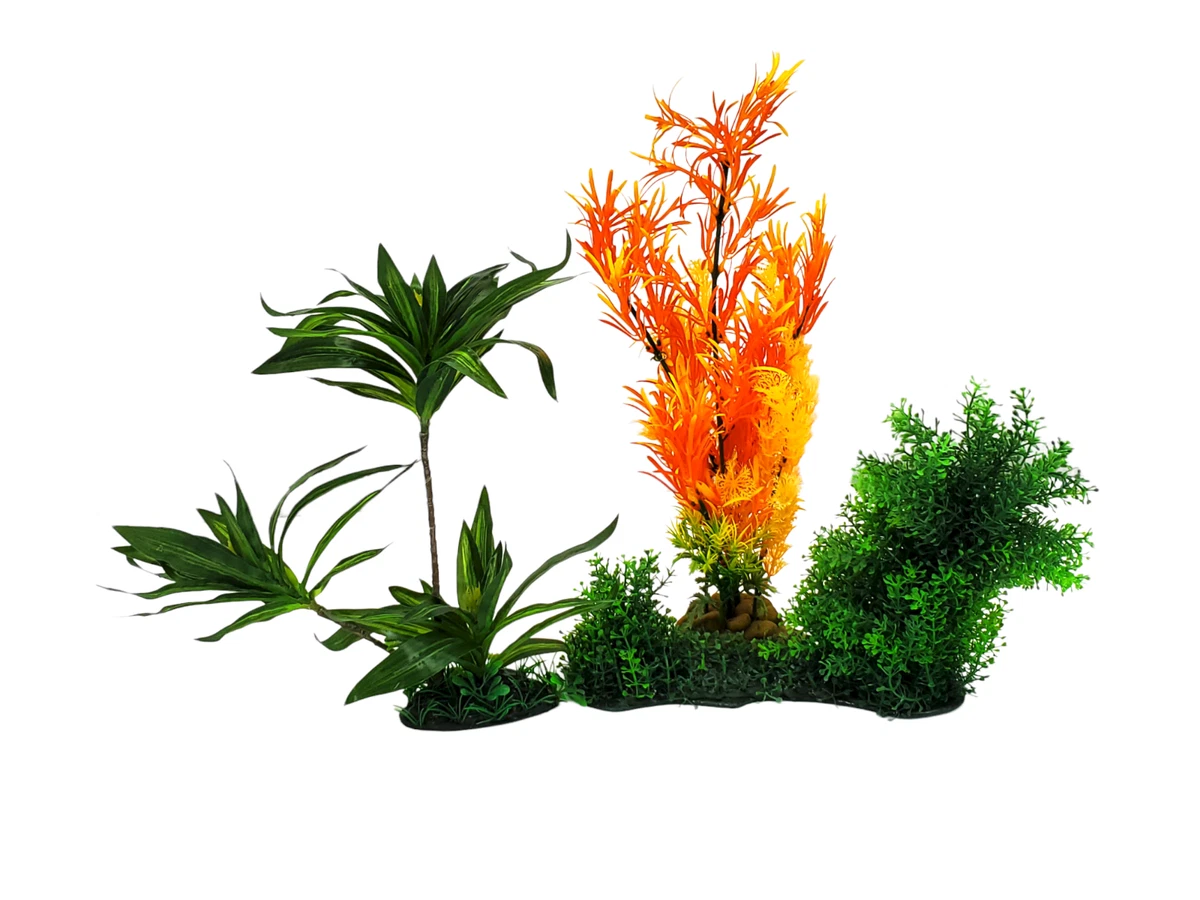 Ebay Aquarium Plants
