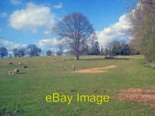 Photo 6x4 Parkland at Docklow Manor Large sheep field with mature trees g c2009