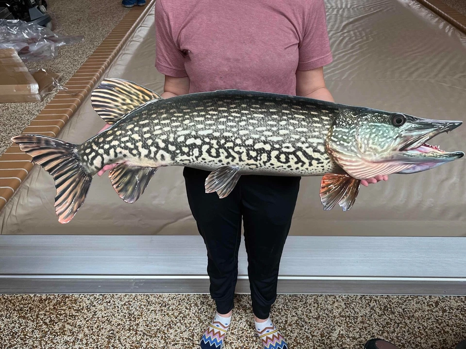 Northern Pike Replica Fish Art, 42" 2D FLAT Metal Northern Pike Wall Mount Decor - Image 2 of 4