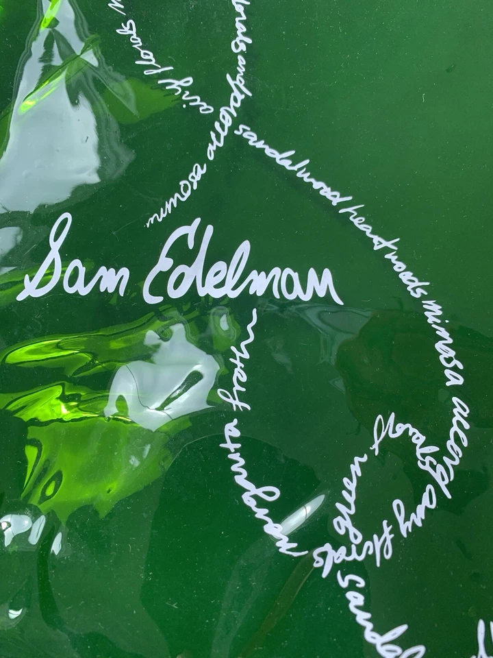 Bolso de Mano Sam Edelman Signature Verde PVC Transparente Regalo Nuevo con Etiquetas Foto 4 de 4