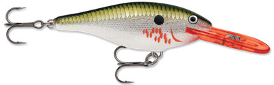 Rapala                     Shad Rap   SR7           Bleeding Olive Flash