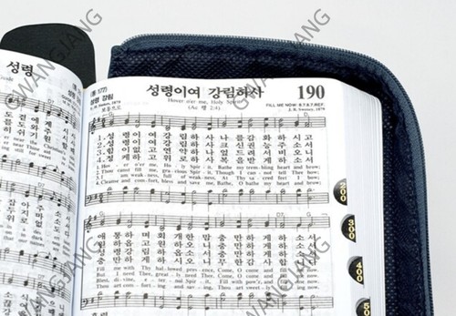 ESV Korean English Study Bible Dark Blue Edition Holy Book Jesus Hymn Psalm - Picture 11 of 12