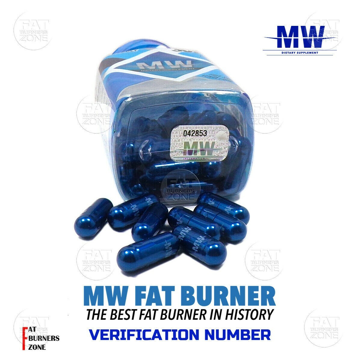 MW PILLS FAT BURNER GINKGO BILOBA CARNITINE 7-KETO GINSENG GREEN TEA VITAMIN C
