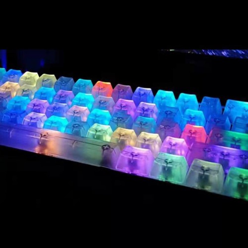10pcs ABS Transparent Keycap ESC OEM R4 Höhe Keycaps für mechanische Tastatur - Bild 7 von 8