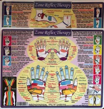 Zone Hand and Foot Reflexology Double-Sided Laminated Chart