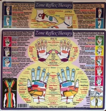 Zone Reflexology Double-Sided Laminated Chart!