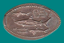 Texas - Fort Worth Zoo - Blacktip Shark