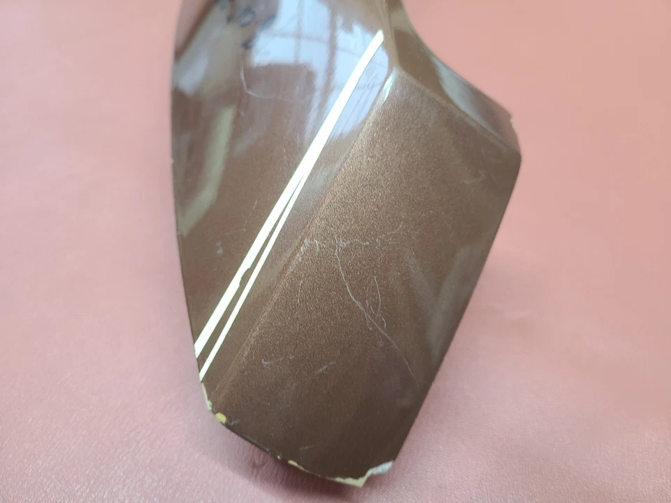 Oldsmobile Cutlass Supreme 1978 1979 1980 cuarto trasero extensión luz trasera Foto 4 de 4