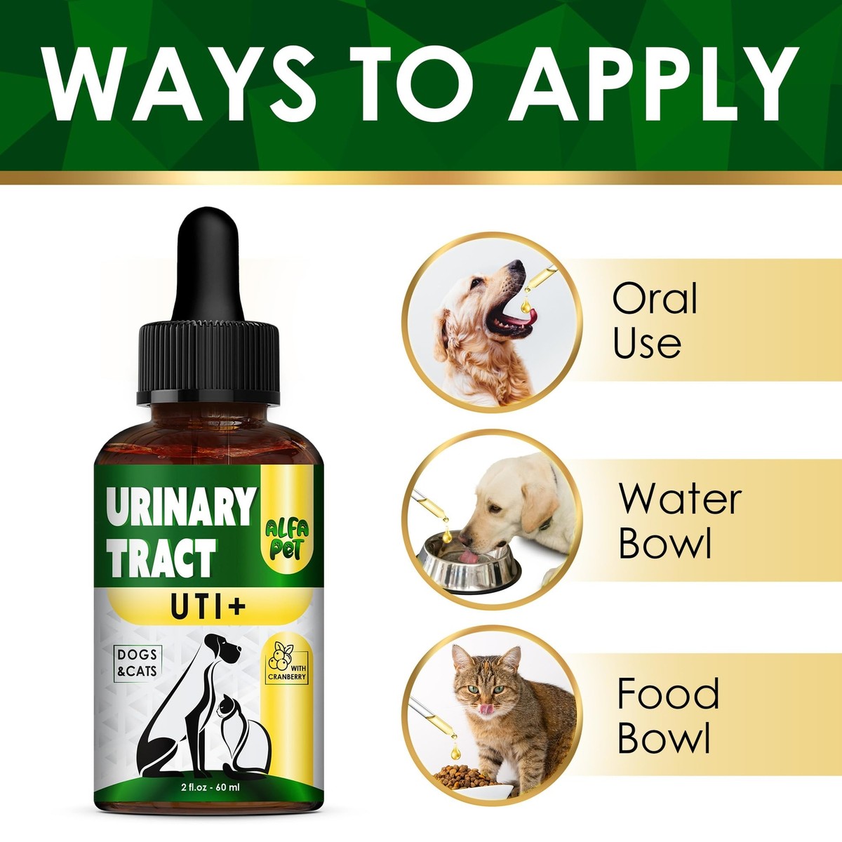 Uti Cat Kidney Stones Treatment Cassiel Pet Urinary Care