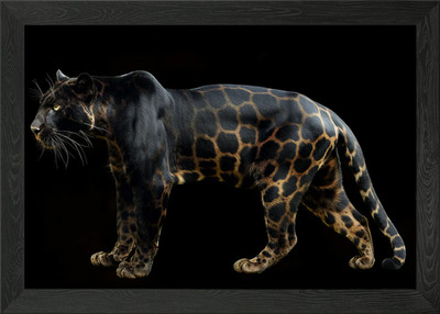 Black Panther gerahmtes Wandbild Poster Leinwanddruck Bild