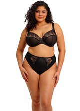 Elomi Reja Brief Mid Rise Full Briefs Embroidered RRP £25. 4XL. / 22