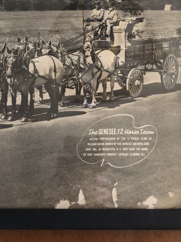 Vintage Genesee Framed Photo Original 12 Horse Team W/Belgium Roan Horses•Refurb - Picture 3 of 12