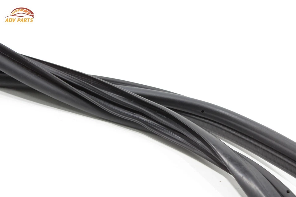 Chevrolet Express 3500 2500 1500 2003-2024 puerta delantera izquierda carrocería sello OEM Foto 4 de 4