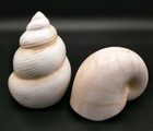 Bild 8 von 9