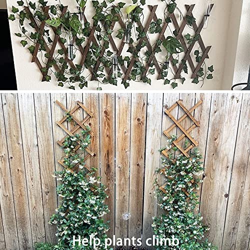 2Pack Expandable Wooden Lattice Wall,Plant Garden Trellis for Climbing 2PACK