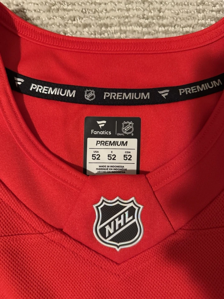 Lucas Raymond Jersey Size 52 (Large)-Fanatics Premium-Custom - Image 3 of 4