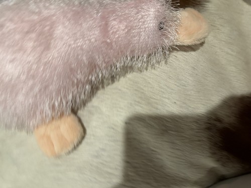 Webkinz Pink Fuzzy Platypus - Picture 2 of 3