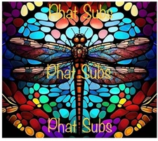 20oz Sublimation Tumbler Wrap Stained Dragonfly Ready To Press Transfer