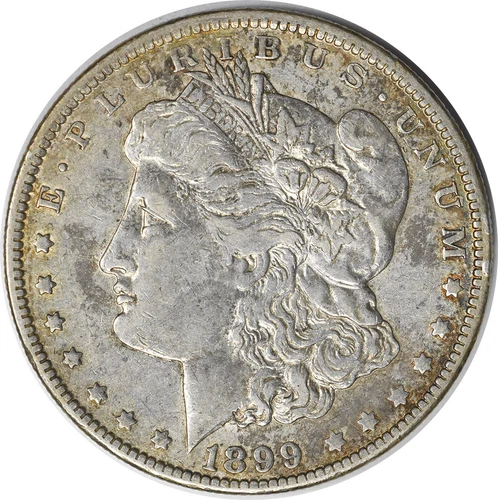 1899-o VAM 6 Morgan Silver Dollar Micro o EF Uncertified #234