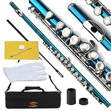 Closed Hole C Flute With Case, Tuning Rod and Cloth, Gloves,Sea Blue