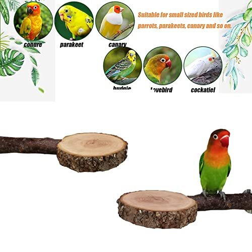 Tfwadmx Bird Perch Stand Wood Parrot Platform for Cage Natural Wooden Playgro...