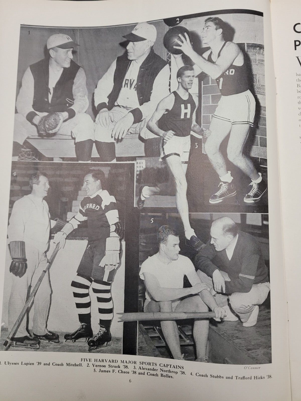 Picture 4 of 13