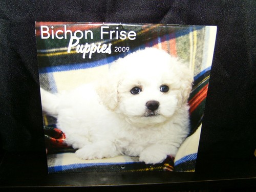 BICHON FRISE PUPPIES MINI CALENDAR 2009 - Picture 3 of 3