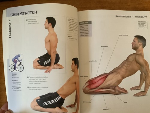 Massage Anatomy A Comprehensive Guide & Anatomy Of Cycling Paperbacks. - Picture 11 of 18