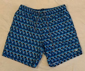 goyard swim trunks