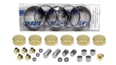 DART LS Next Engine Block Hardware Kit with Brass Freeze Plugs and Coated