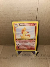 Rapidash 44/64 Jungle Regular