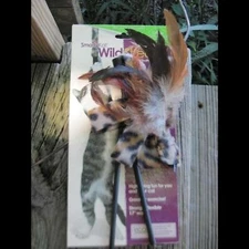 Damaged Smarty Kat Wild Streak Wand Feather Toy Cat Play Hunt Stimulation Enrich