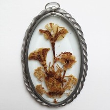 Lasting Impressions Oval Sun Catcher Real Pressed Dried Flowers Pewter  Glass