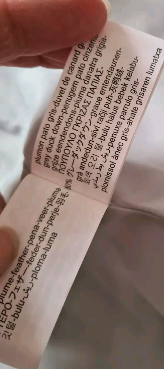 Foto 13 di 14