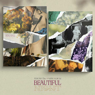 YESUNG BEAUTIFUL NIGHT 4th Mini Album PHOTO BOOK 2 Ver SET 2CD+2PhotoBook+4 Card