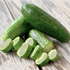 Beit Alpha Cucumber Seeds . 30 + Persian Or Lebanese Cucumber ! Vegetable