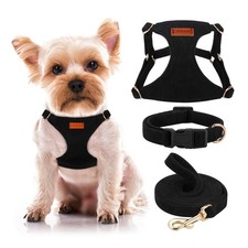 No Pull Dog Harness Collar Leash Set - Adjustable, Lightweight, Soft, Small