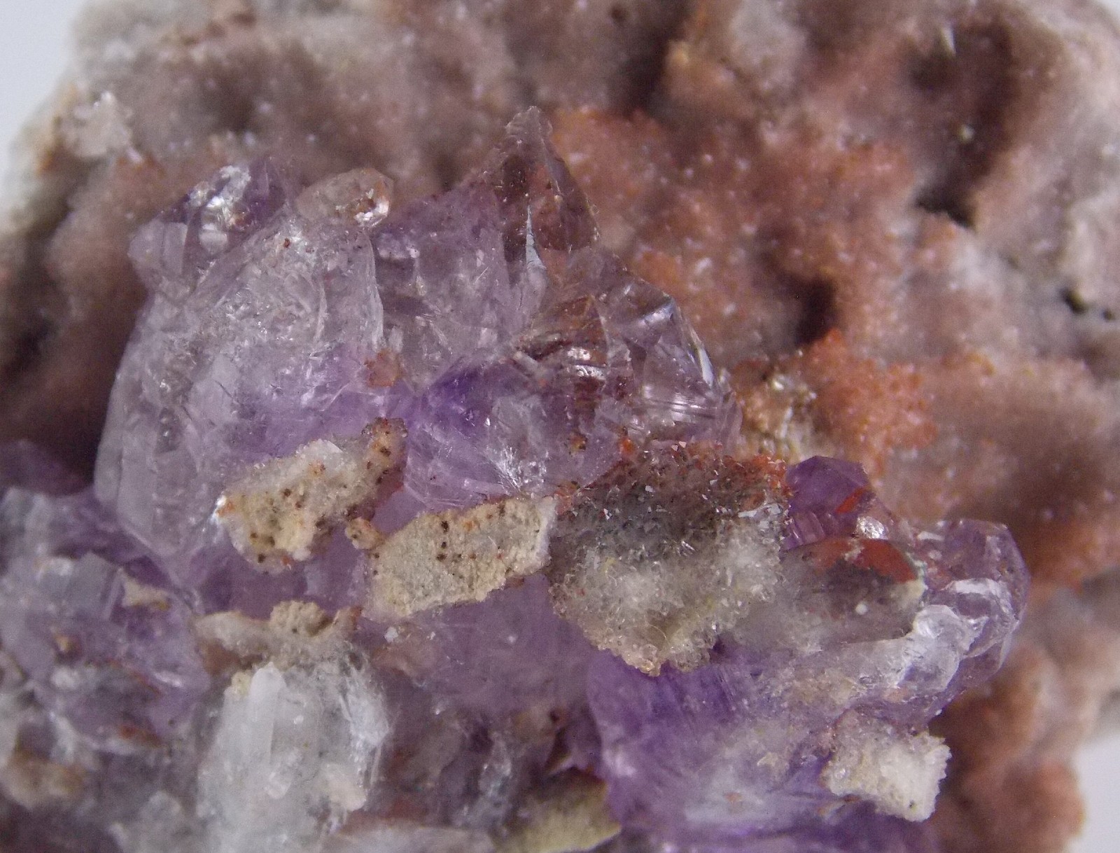 AMETHYST CRYSTAL GEODE - 5 cm - ESQUEDA, SONORA, MEXICO 29848