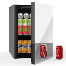 Compact Freestanding Beverage Refrigerator and Personal Beauty Fridge, 24 Can...