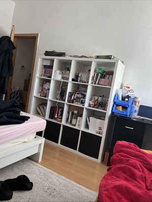 Bücher / Manga / Comic / Spiele Regal 