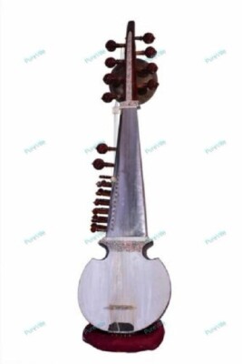 Spezieller Ali Akbar Khan Style Sarod mit Tumba - gepolsterter Stoffbeutel