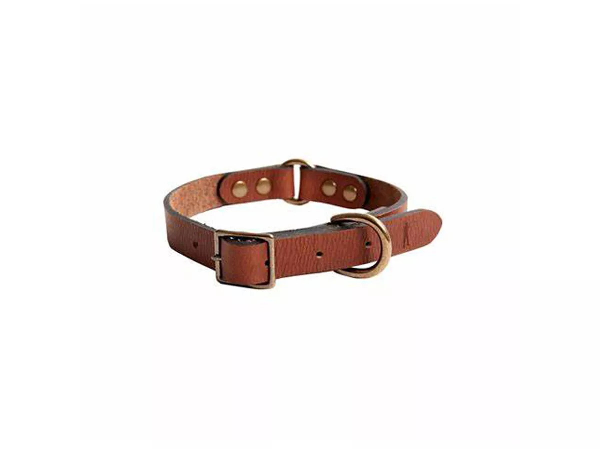 BALL AND BUCK Signature Leather Dog Collar 68 NWOT