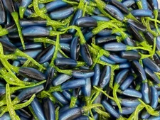 100 pk 2" Black Blue Chartreuse Sparkle Stinger Shad Crappie Fishing Perch