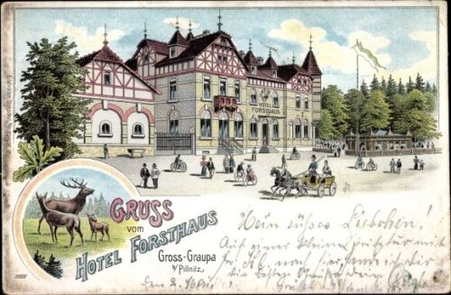 Litho Graupa Pirna in Sachsen, Hotel Forsthaus - 10360813 - Picture 1 of 2