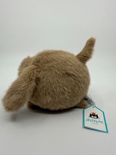 Jellycat Authentic Caboodle Puppy Small Fluffy Dog Soft Plush Collectable NWT - 第 2/7 張圖片